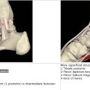 medial stability test(eversion test) - 발목 내측안정성 검사, 설명자료 이미지