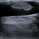 더본마취통증의학과의원 이미지