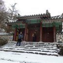 비파산성 티스토리