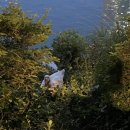 종성농장 이미지