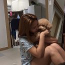 고마워 강아지 | [공지] 강아지 심장사상충약 먹고 완치했던 치료 과정_고생했고 고마워 ♥