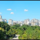 시범월드공인중개사사무소 이미지