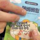 퍼피 앤 맘 | 【2026 일산 메가주 펫페어】 서루 강아지 이동가방 백팩 하네스 디얼퍼피 아이스팩 파우치 애견용품 후기