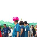 낙운중학교 이미지