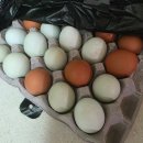 로빈관반점 이미지