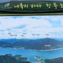 참어울림 이미지