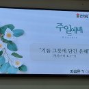 정욱채