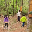 자연이네 이미지