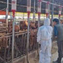 하향농장 이미지