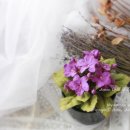 플라워아트 이미지