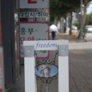 프리덤 미술 교습소 이미지