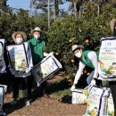 농심퇴비 이미지