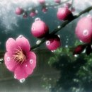 역지사지(易地思之) 이미지