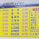 선상활어회