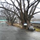 곡성-103 이미지