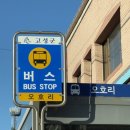 해돋이마트 - 아산시 번영로 190 | 2026 새해 일기 강원도 고성 해돋이 후기 새해부터 배아픔으로 시작하는 고통받는 나..
