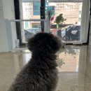 또또살롱 이미지