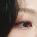 수련속눈썹 이미지