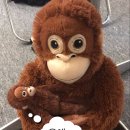 바디와이즈 | 와이즈병원 유도분만 과정 1인실 입원 후기