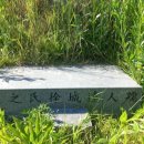 손정의 고조모 墓-대구 동구 도동 589 이미지