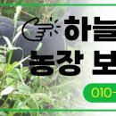 약성흑염소농장 이미지