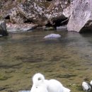 다모아민박 이미지