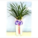 인제대학교(어방동 607) 이미지