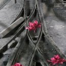 삼탄아트마인 이미지