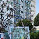 하단동111 이미지