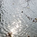 고전과의대화 이미지