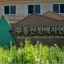 무등산편백자연휴양림 이미지