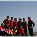 송강초등학교 이미지