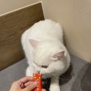 바미메디칼 네이버블로그