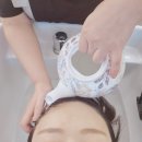 선사애견 | 부산 금정구 장전동 두피관리 잘하는 컬러드스파 부산대점(애견동반 가능) 후기