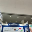 이레키즈아트어린이집 | 2025 대구 베이비&amp;키즈 페어 (인생 첫 베페,이틀 연속 다녀온 내돈내산후기)