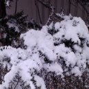 성북희망나눔봉사센터 이미지