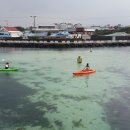 소박한바당쉼터 이미지