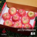 단양사과협동조합