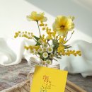 악필교정 쉽게 배우는 캘리그라피 이미지