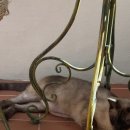 몽 듀 로투스(Mont du Lotus) | (부산/연산)지브리 감성의 주택 몽듀로투스(Mont du Lotus) 카페