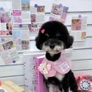 호두네 맡겨보개 이미지