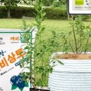 재님농장 이미지