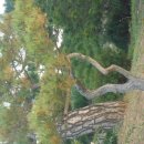 지평선공인중개사사무소 이미지