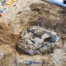 학장초등학교 이미지