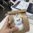 (주)행운물류