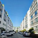 사파동273 이미지