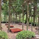 양을산산림욕장 이미지