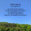 새일과새시대