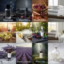 피톤치드 | 쿠팡 디퓨져 추천 마크퓸 피톤치드 디퓨져향 후기