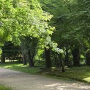 파주삼릉 이미지